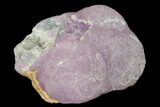 Botryoidal Pink-Blue Smithsonite - Mexico #134035-1